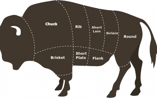 Bison Meat