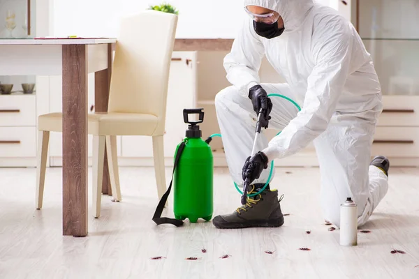 pest control service Calgary
