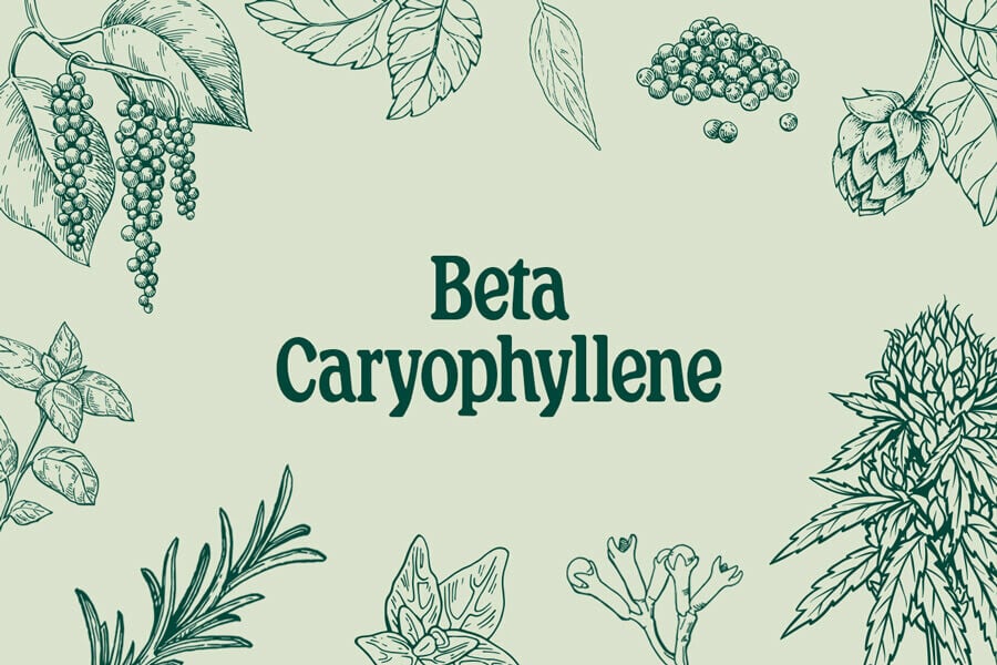 β-caryophyllene